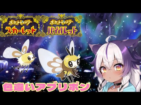 【ポケモンSV】色違いアブリー → アブリボン【ポケットモンスタースカーレットバイオレット】