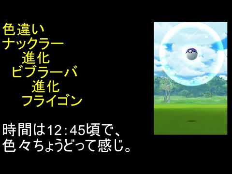 色違いナックラー進化ビブラーバ進化フライゴン【ポケモンGO】