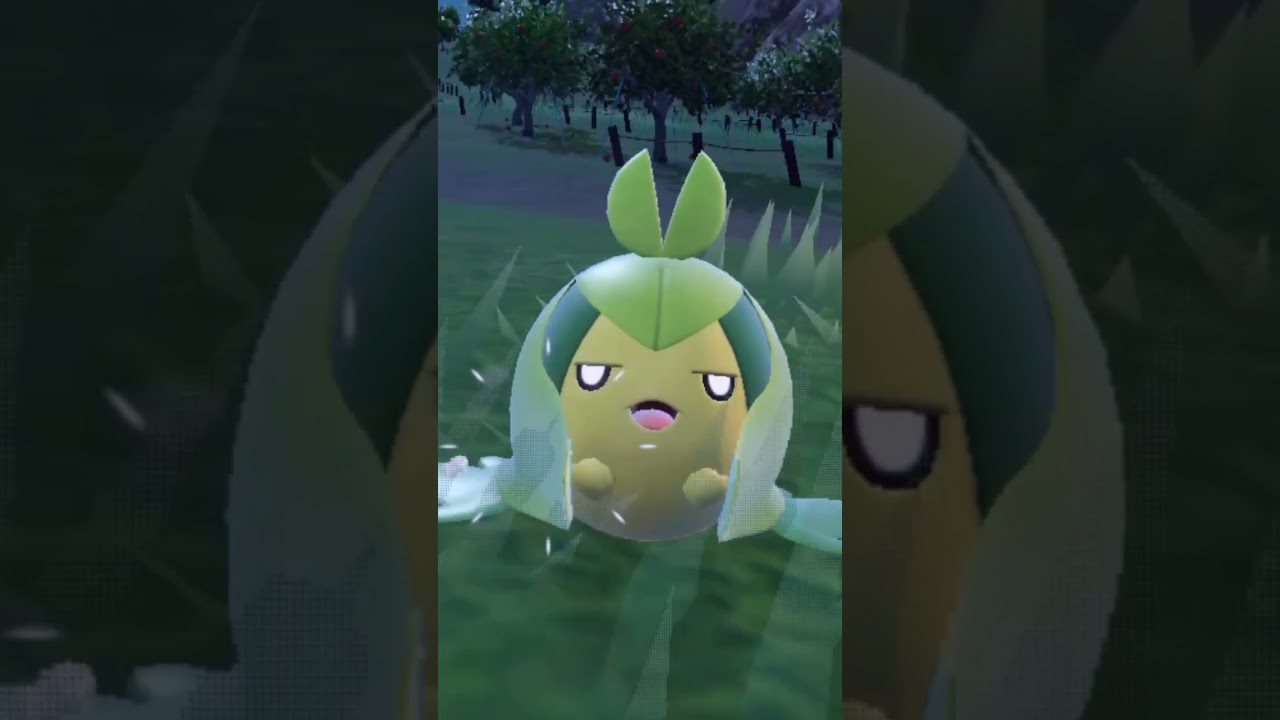 クルマユ Swadloon【ポケモンsv】