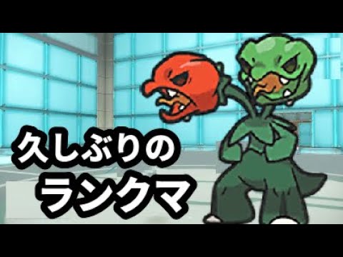 【ライブ配信】せいちょうスコヴィラン！【ポケモンSV ランクマ】