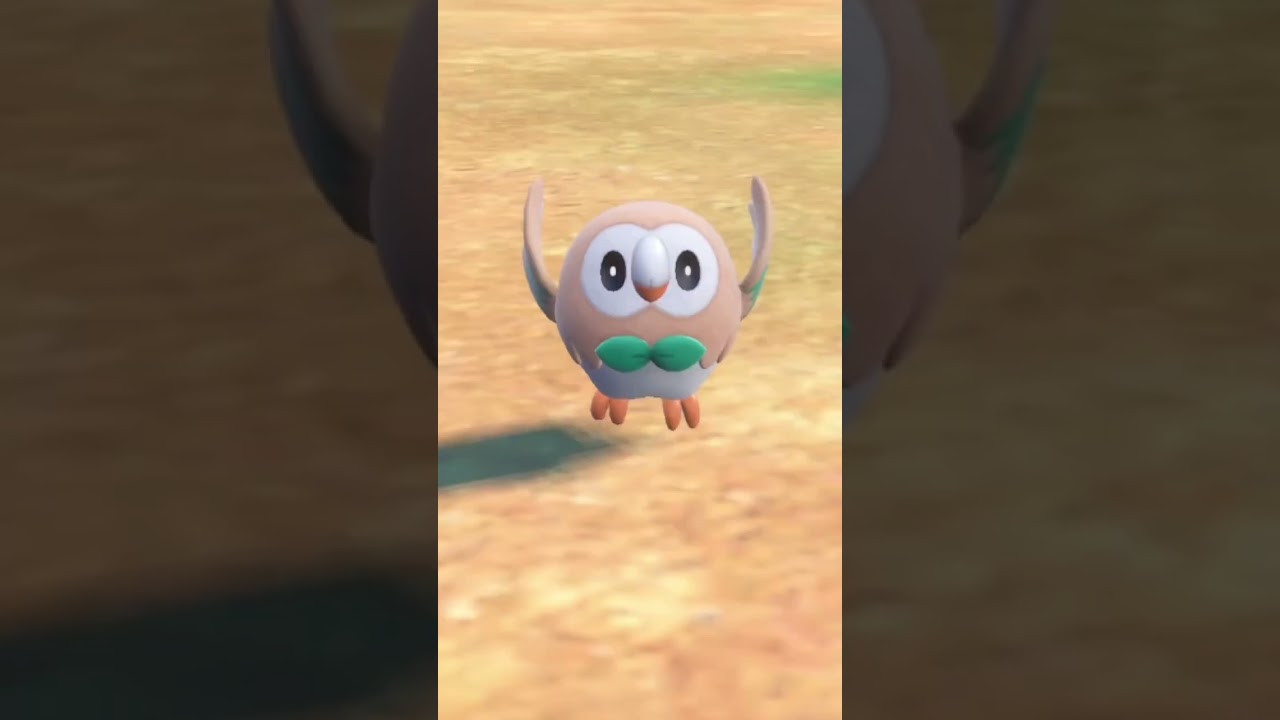 【ポケモンSV】自己満動画。モクローちいさくてかわいいw#shorts #short #ポケモン #pokemon #ポケモンsv