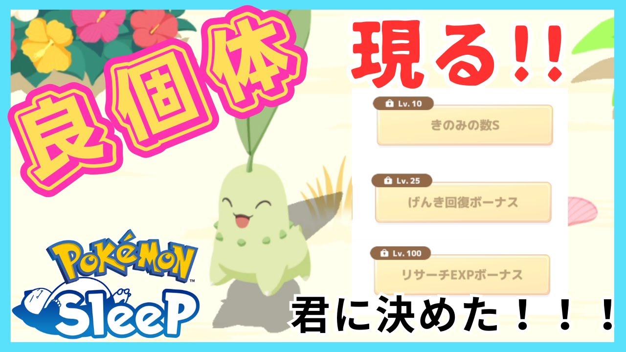 このチコリータ、強いのでは！？無課金厳選でサブスキル良個体を引き当てる！！＠シアンの砂浜【ポケモンスリープ】社畜OLの無課金ゲーム実況攻略記20230917