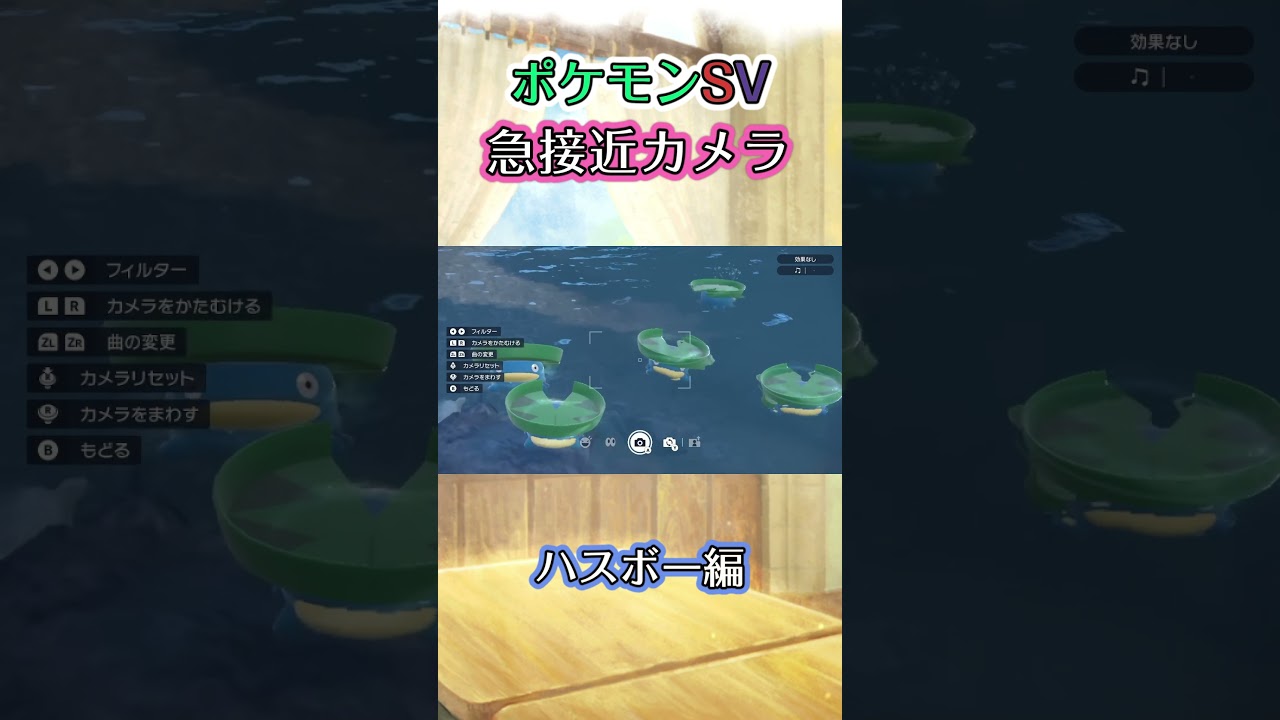 【ポケモンSV】たくさんいるハスボーの中で一匹だけ自由気ままに泳ぎ行ってしまうのを目撃するだけの動画 #ポケモン #ポケモンsv #ハスボー #shorts