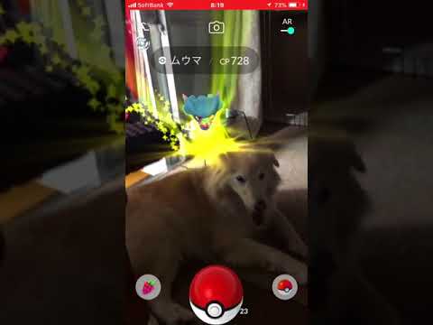 ポケモンGO  ムウマ
