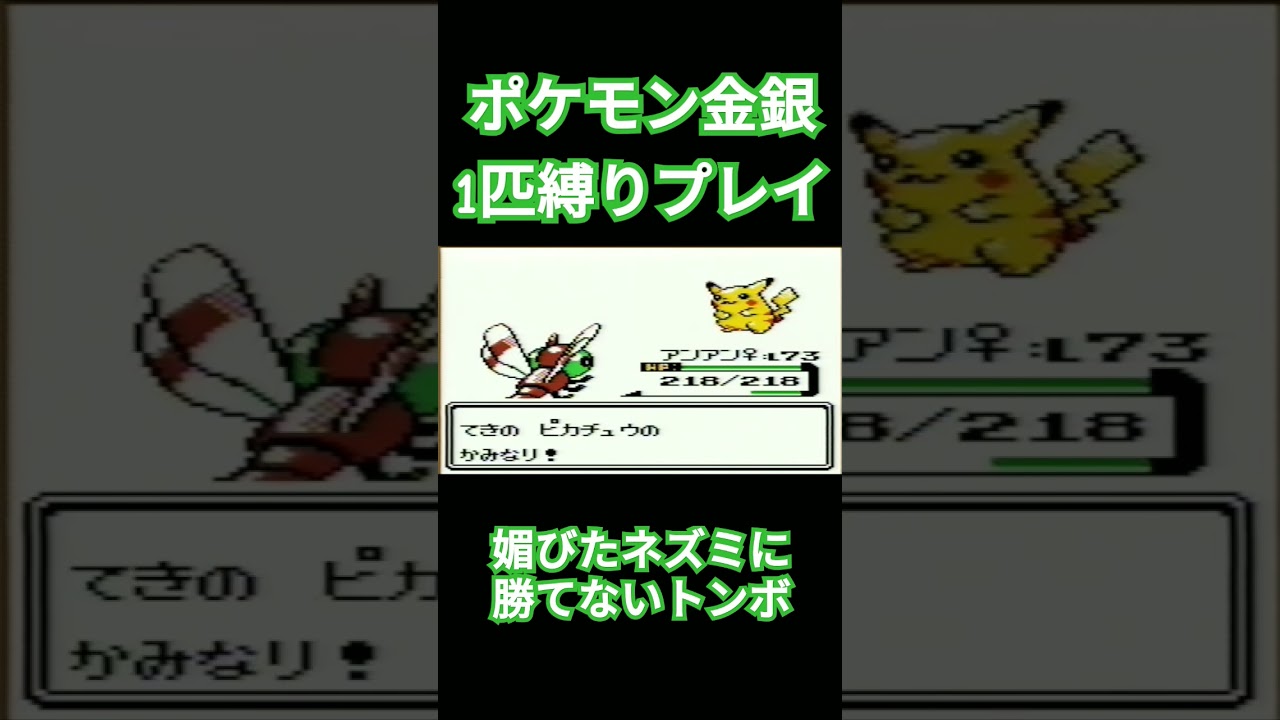 【ポケモン金銀】ポケモン1匹縛りプレイ!!ヤンヤンマver【縛りプレイ】#ポケモン金銀 #縛りプレイ #ヤンヤンマ #ゲーム実況