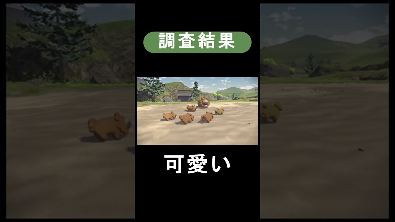 【調査報告】ビッパ #shorts
