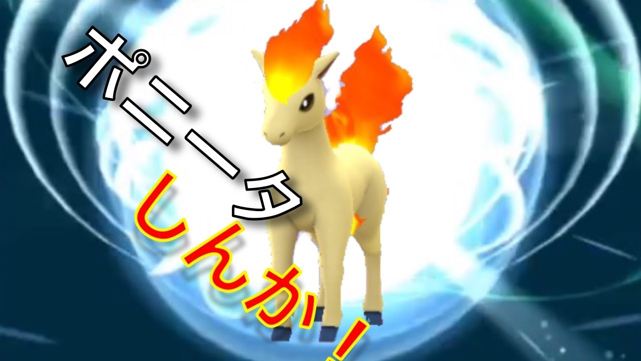 ポニータしんか！| ポケモンGO