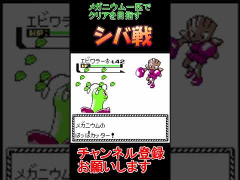 シバ戦　ポケモンクリスタル　メガニウムだけでクリアする　【実況】  #レトロゲーム　 #ポケモン  #ゲーム実況