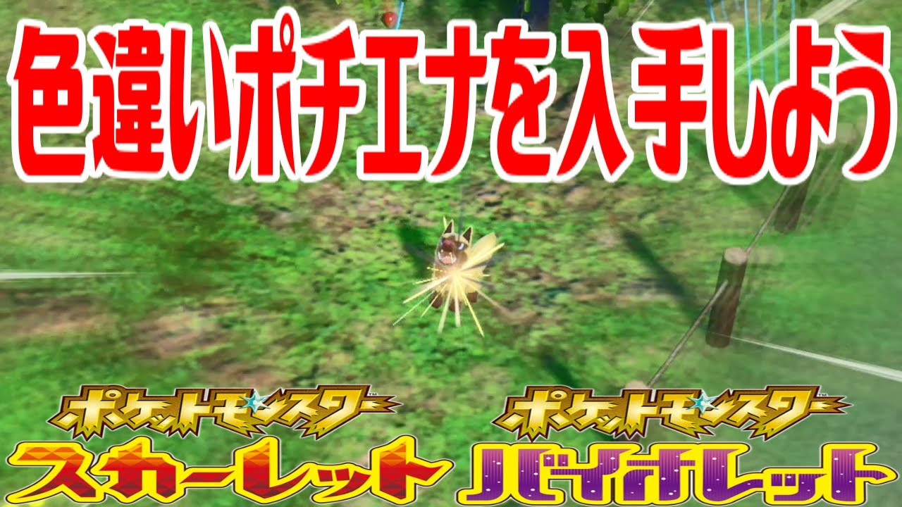 【ポケモンSV】色違いポチエナを入手しよう【ポケットモンスター スカーレット・バイオレット ゼロの秘宝 碧の仮面】Pocket Monsters