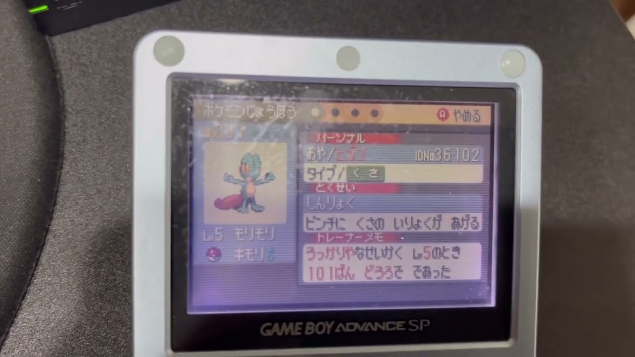 色違いキモリ出たよ【ポケモンルビーサファイア】