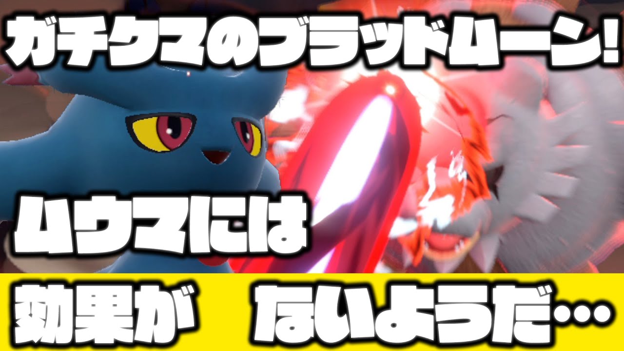 【勝率マジ100%】ガチグマ対策の最適解がテラスタル無しの"ただのムウマ"だなんて誰も気付かなかっただろう。【ポケモンSV レギュレーションE あかつきガチグマ対策 対戦実況】