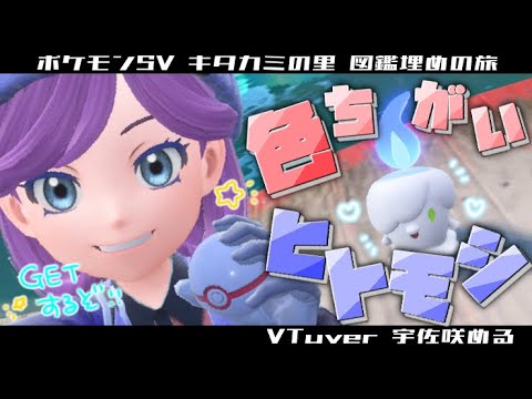キタカミ図鑑埋め ✧ 色違いヒトモシ‎GET大作戦！🤍💙〖ポケモンバイオレット┊Pokémon Violet〗