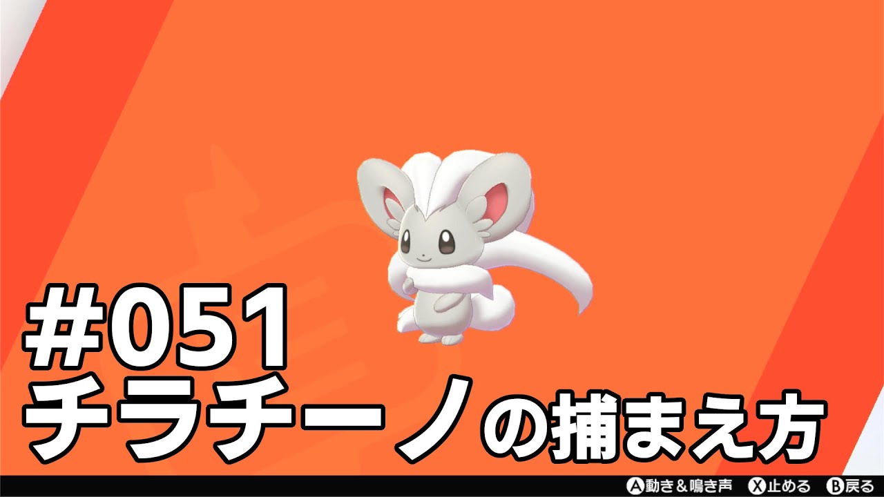 チラチーノを探している方に見てほしい動画