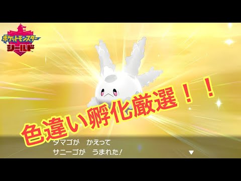 [ポケモン剣盾]サニーゴ国際孵化のんびりやります
