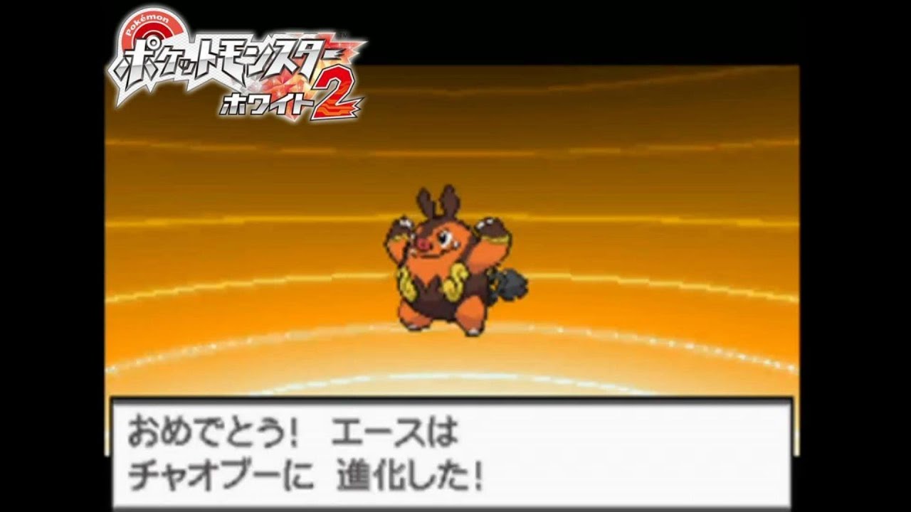 【コンビナートで修業】ポカブ、進化しました！【ポケットモンスターホワイト2】#4