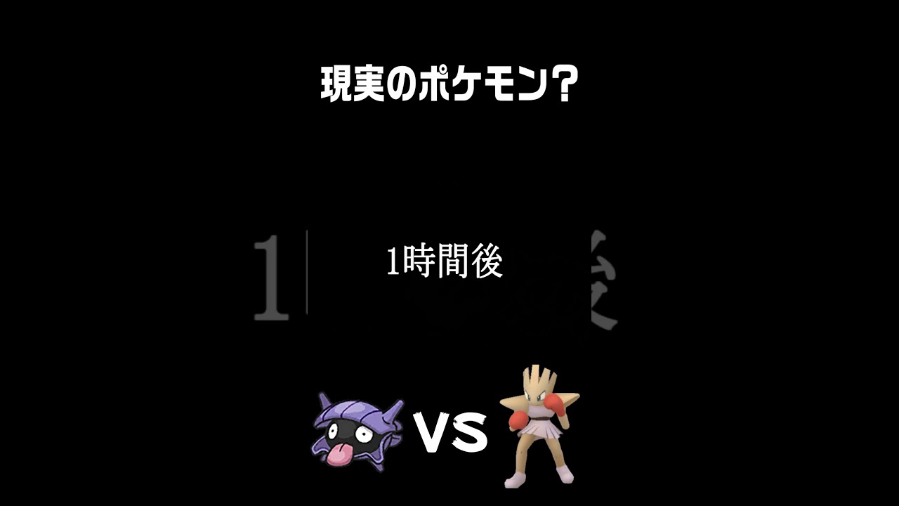 現実のシェルダーに挑むエビワラー？ #shorts   #ポケモン  #エビワラー #シェルダー #hitmonchan