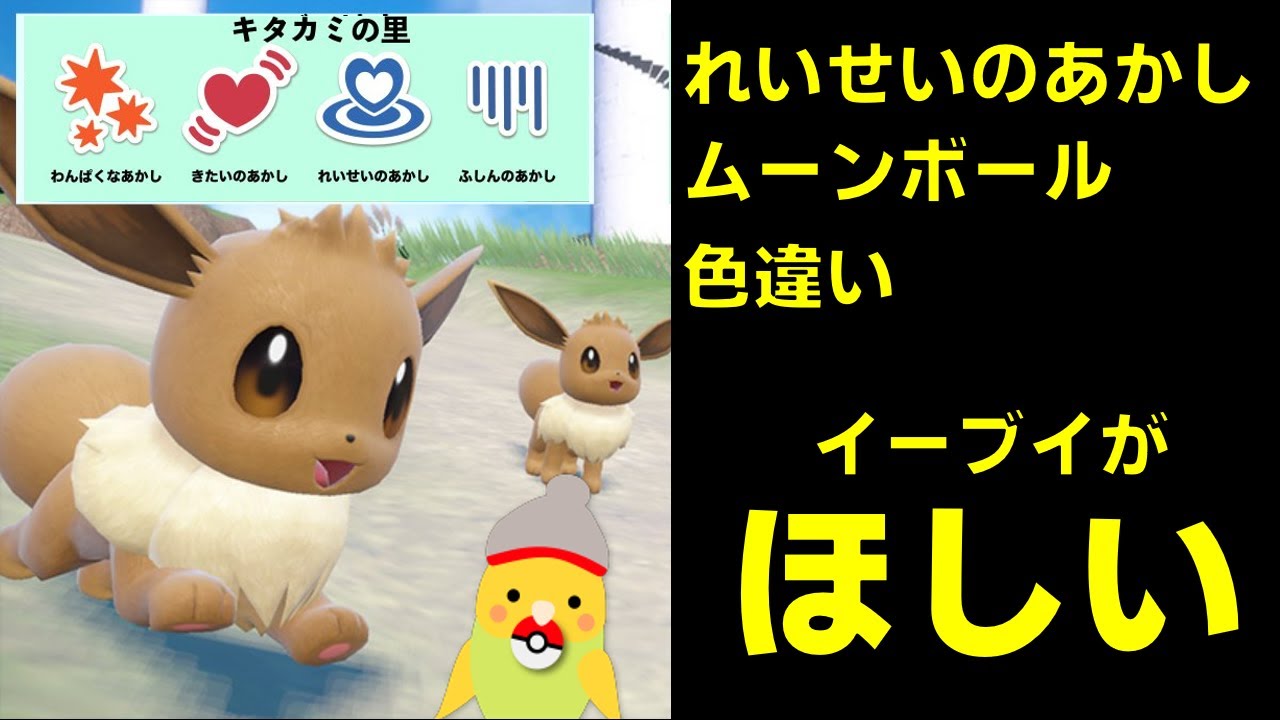 【ポケモンSV】れいせいのあかし・ムーンボール・色違いイーブイがほしい　１日目