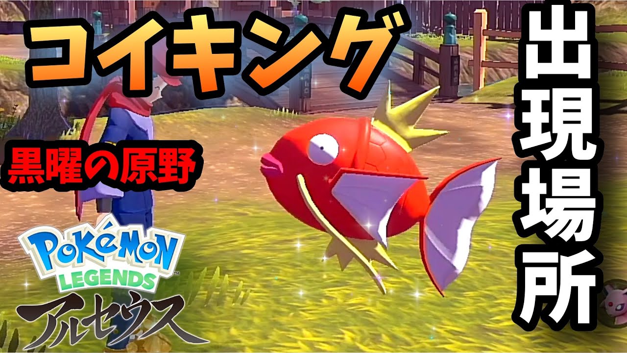 序盤でコイキングをGETしたい！【ポケモンアルセウス 黒曜の原野 編】