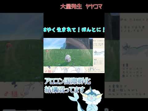 大量発生ヤヤコマ編 #shorts #short