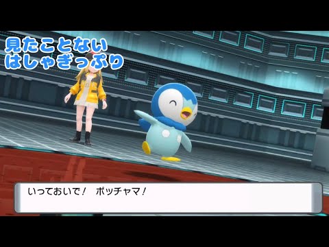 レベル80のバッキバキなポッチャマ強すぎwww【ポケモンBDSP】#ポッチャマかわいい #Shorts