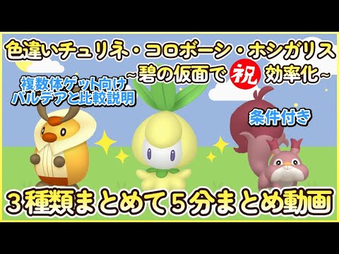 碧の仮面 色違いチュリネ＆コロボーシ＆ホシガリス最高効率3種類５分まとめ【条件付き】 30分平均2.24体 #ポケモンsv #最高効率 #色違い #チュリネ #コロボーシ #ホシガリス #碧の仮面