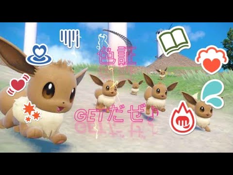 ポケットモンスターSV　イーブイ色証探し