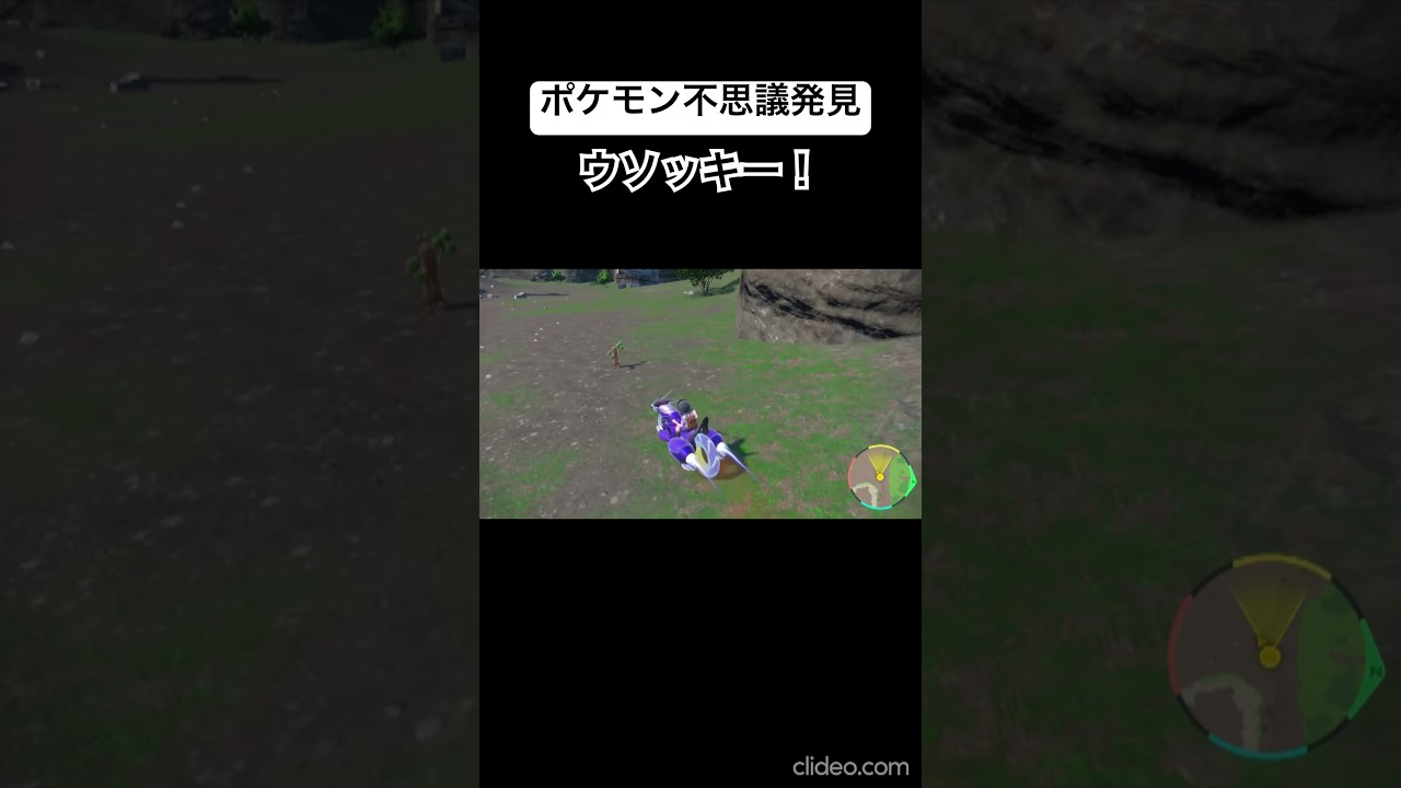 ゴーストウソッキー？【ポケモンSV 碧の仮面】