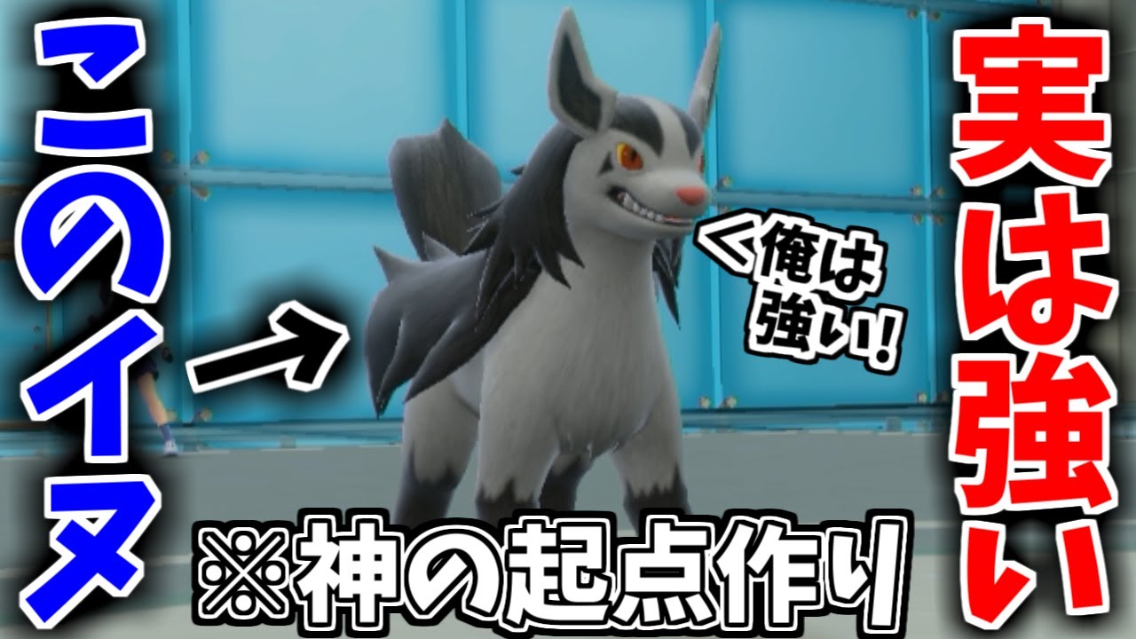 【悲報】起点作り型の”グラエナ”使ったら、マジで強すぎてランクマが完全崩壊しました＾＾；【ポケモンSV】