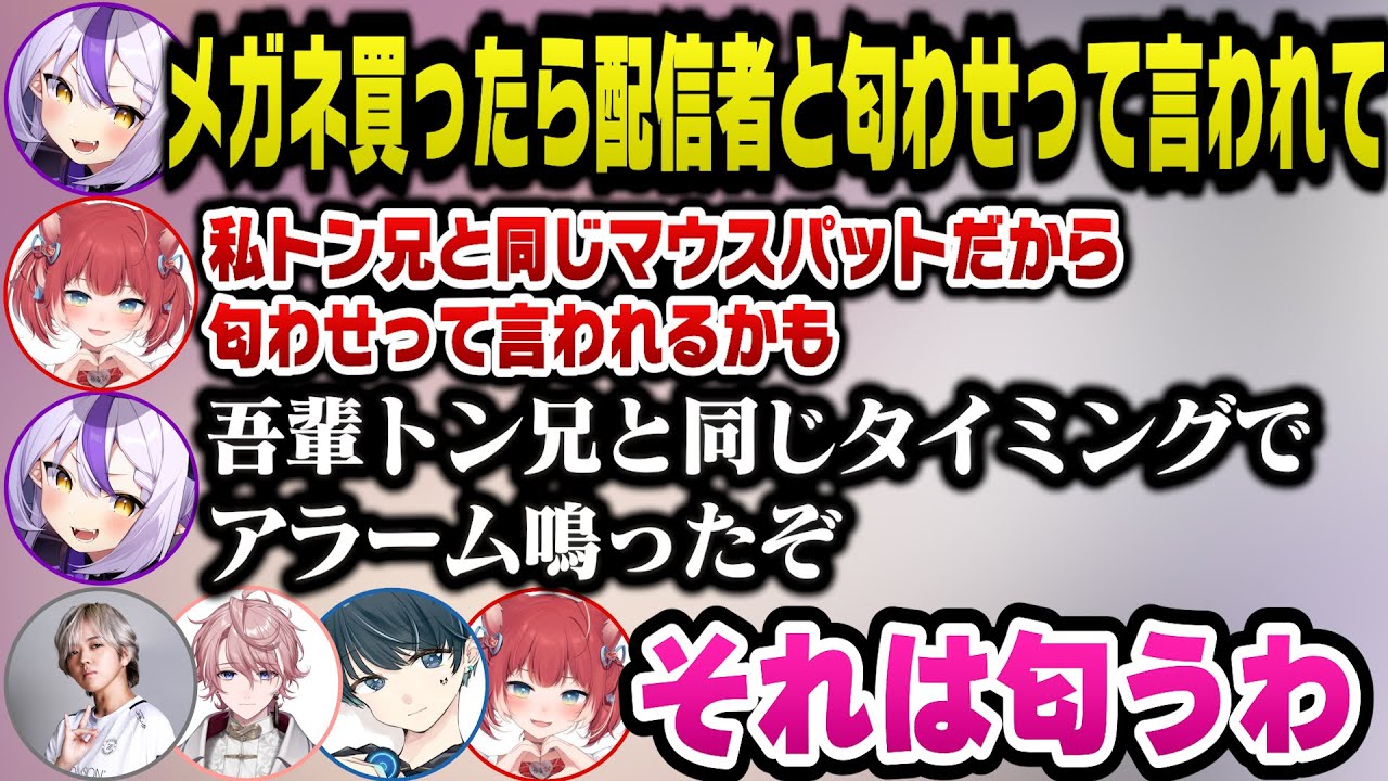 過去に誤解で炎上した「人生勝ち組」発言やとある配信者と匂わせと言われた件について語るラプ様のフルパヴァロまとめ【ホロライブ切り抜き/ラプラスダークネス】