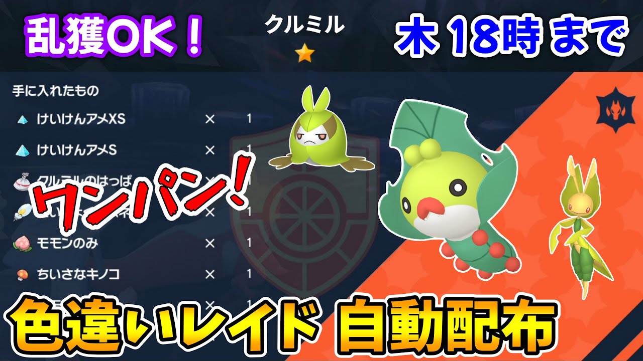 乱獲OK！色違いクルミル自動レイド配布会！【ポケモンSV】