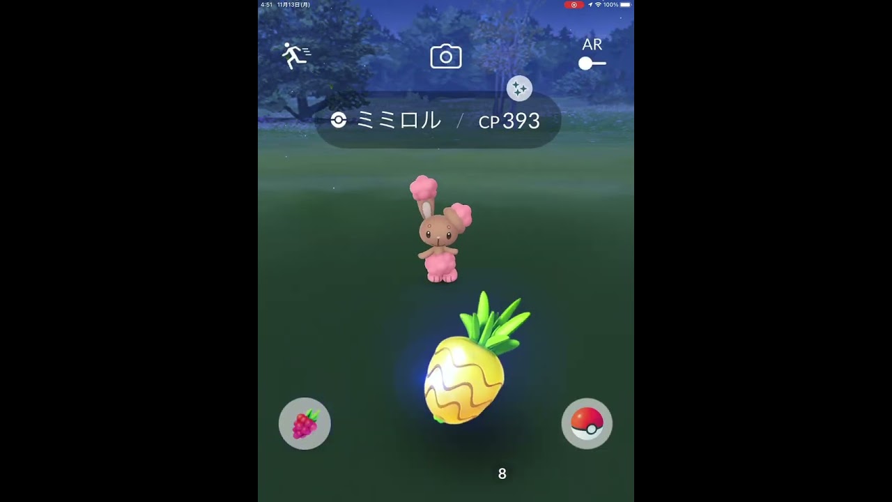 色違いミミロル