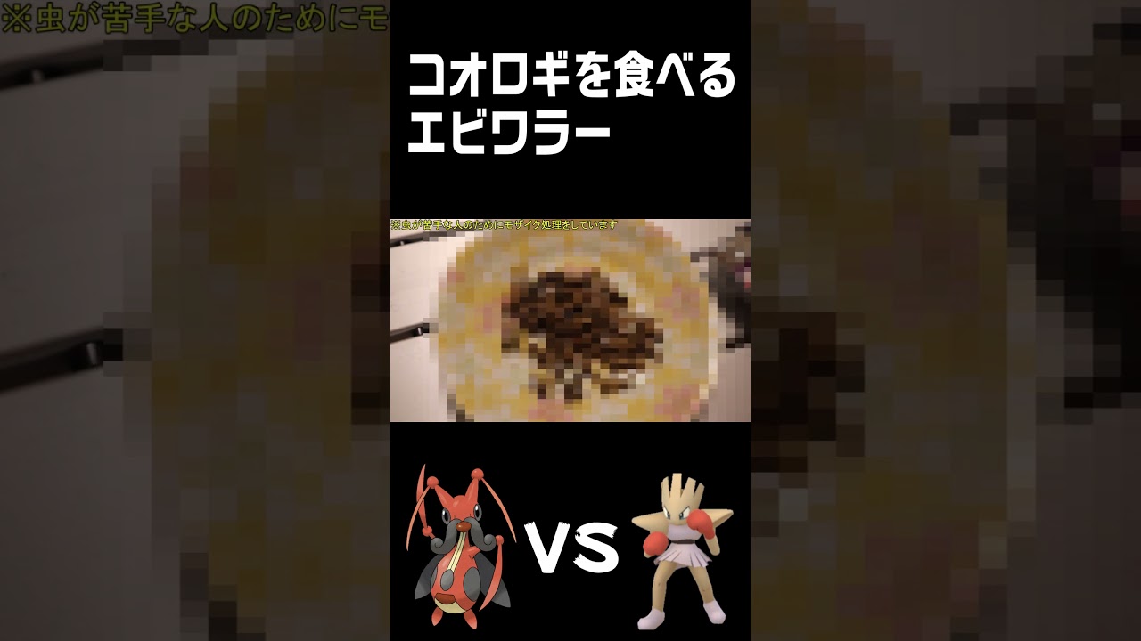乾燥コオロギを食べるエビワラー？#shorts  #エビワラー #ポケモン #hitmonchan #昆虫食