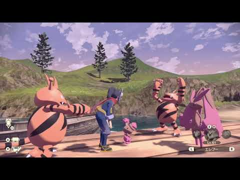 【いろちがい調査３日目】 エレブーとミミロル再び【Pokémon LEGENDS アルセウス】