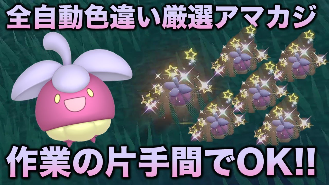 【全自動!!色厳選】アマカジ編!!【ポケモンSV/スカーレット・バイオレット】