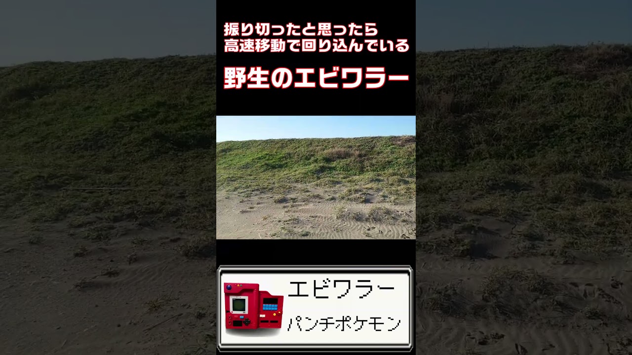 振り切ったと思ったら前面に回り込んでるエビワラー？ #ポケモン #エビワラー #shorts  #hitmonchan