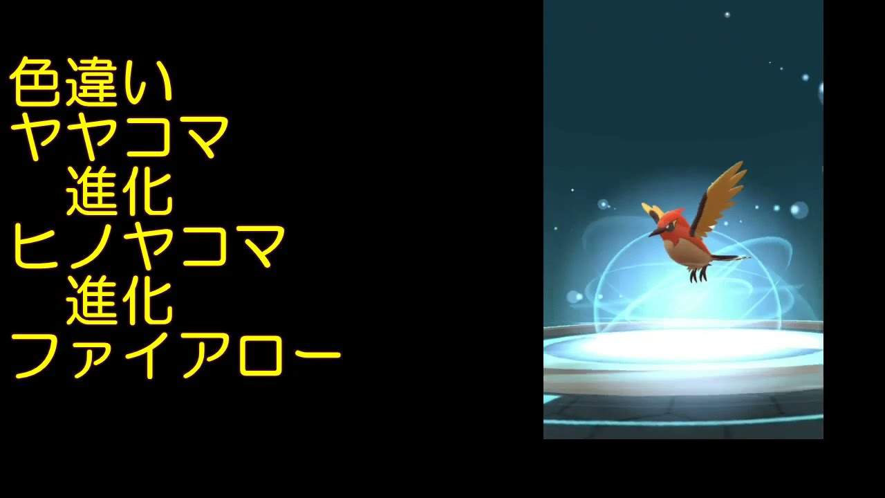 色違いヤヤコマ進化ヒノヤコマ進化ファイアロー【ポケモンGO】