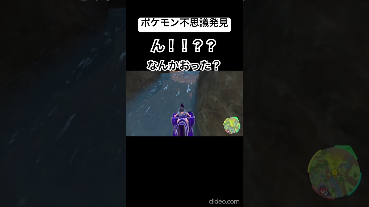 マダツボミは水タイプ？【ポケモンSV 碧の仮面】