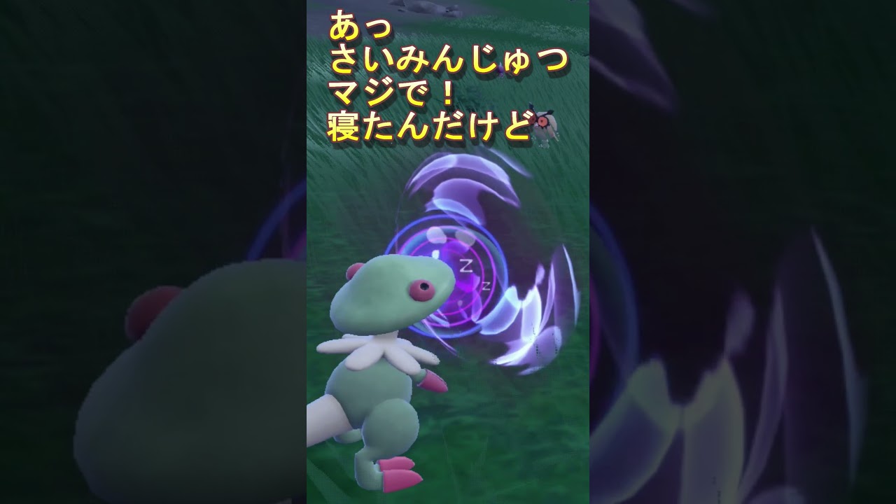 【ポケモンSV】 #色違い　ホーホー　ヨルノズク　#碧の仮面