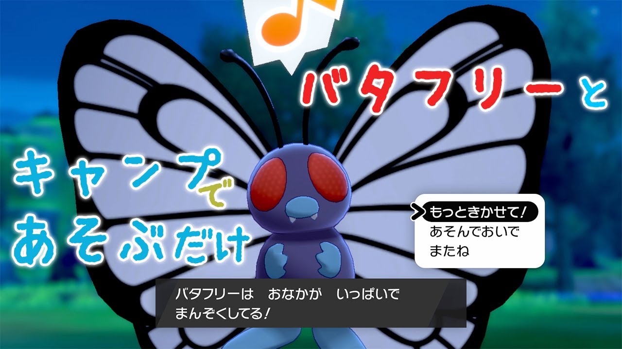 バタフリーとキャンプで遊ぶ