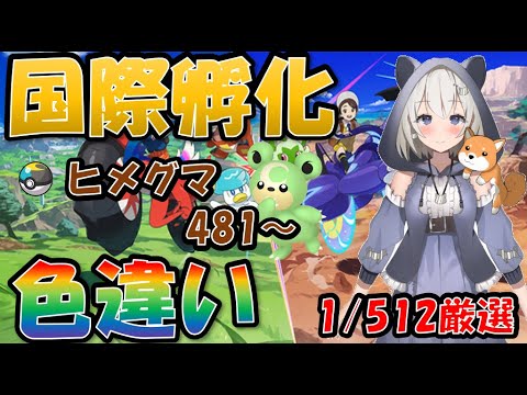 【ポケモンSV】国際孵化色違い厳選　ヒメグマ　721～　４日目