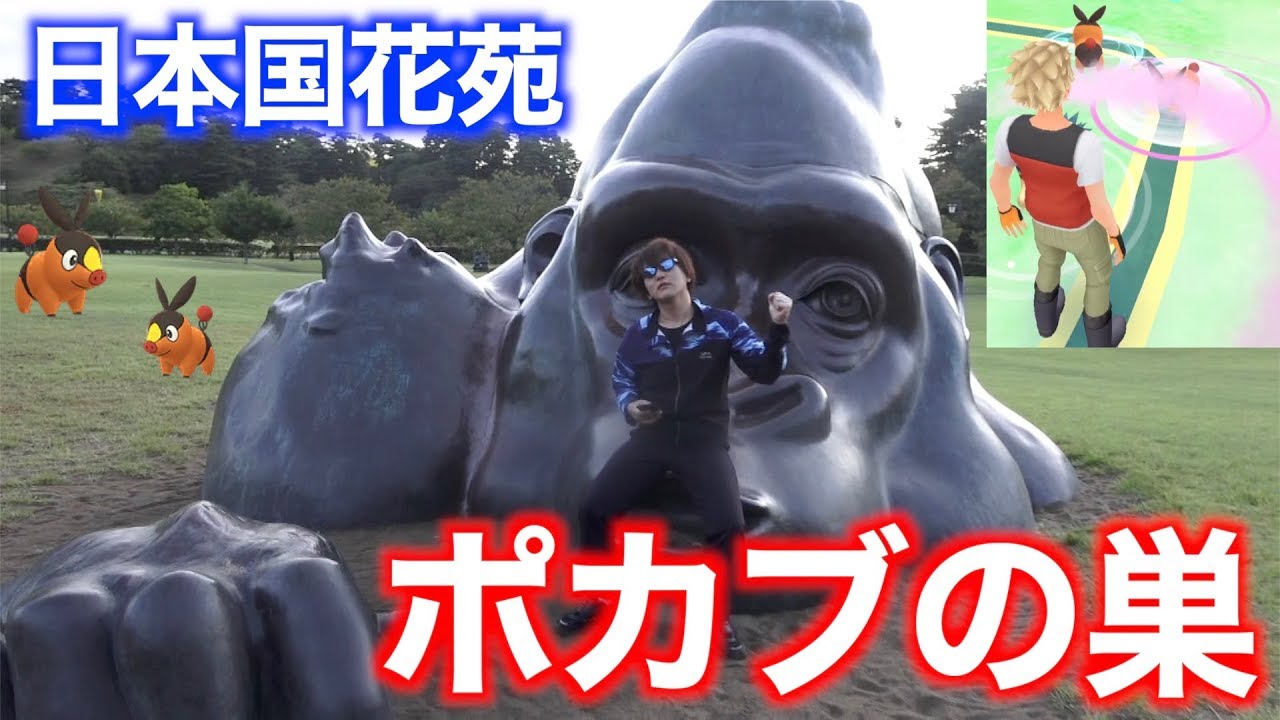 闇ゴリトレード！？ポカブの巣で暖まろうぜ！再会、ゴリ山ゴリ男！【ポケモンGO】