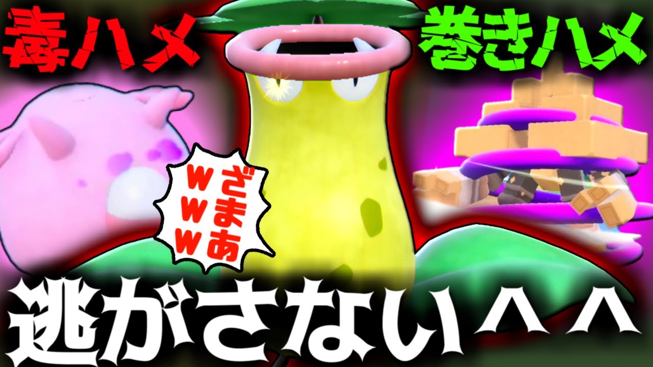 気づいた時にはもう遅い…『ウツボット』の前に耐久ポケモンを出すと終了します… 【ポケモン SV ウツボット  pokemon ゼロの秘宝  】