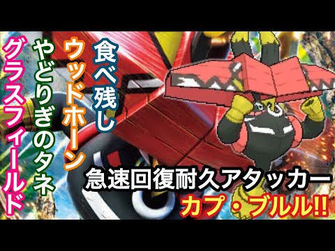 【ポケモンUSUM】急速回復耐久アタッカー！カプ・ブルル!!【ウルトラサン/ウルトラムーン】