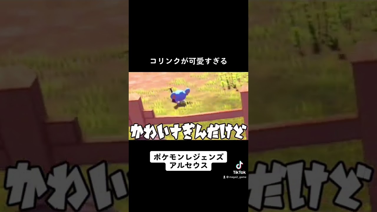 【アルセウス】コリンクが可愛すぎんだけど #shorts