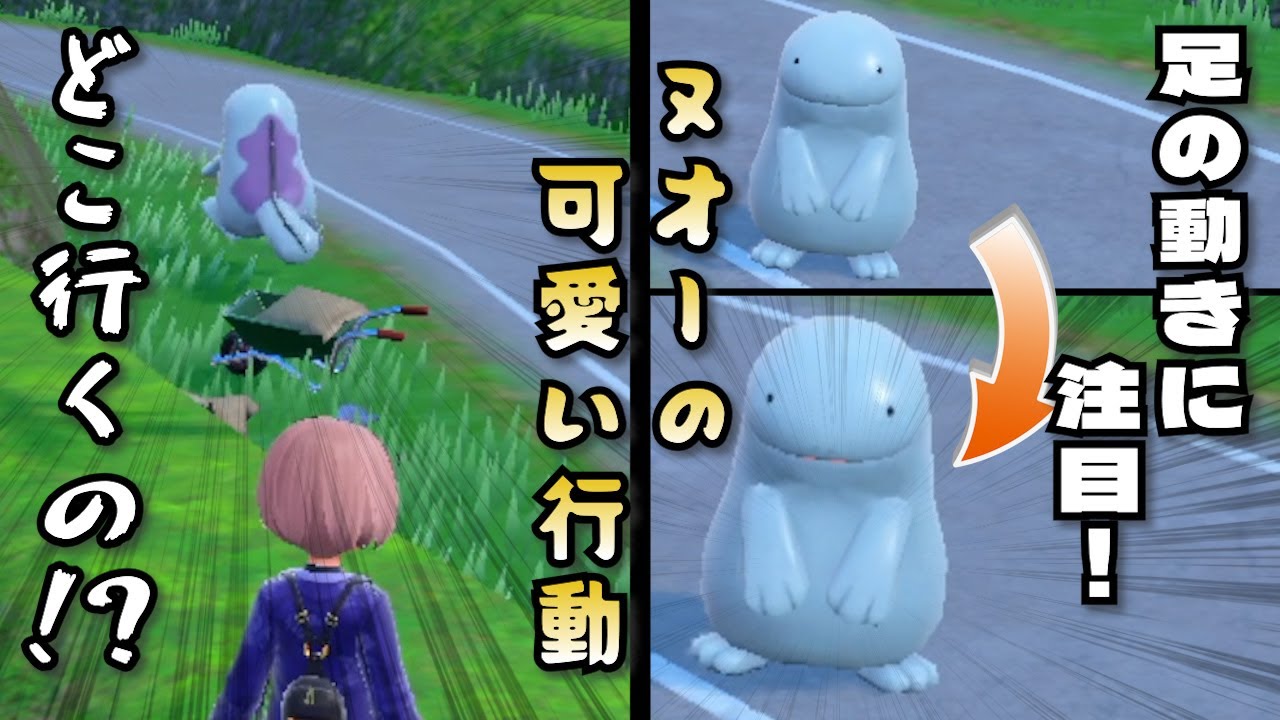 今日の可愛いヌオー「どこ行くのぬーちゃん！？」「ヌオーのちょっとレアな動き」【ポケモンSV】
