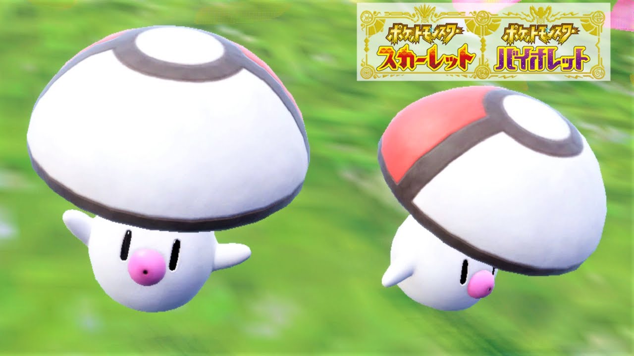 【可愛い】タマゲタケ６匹に囲まれて癒されピクニック【ポケモンSV】