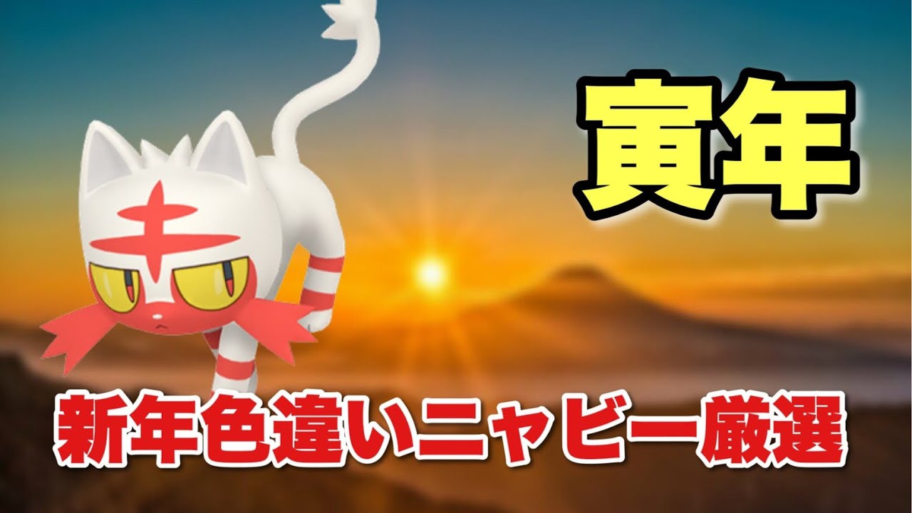 【ポケモン剣盾】色違いニャビー出るまで終われない新年の運試しリベンジ 伍【寅年】