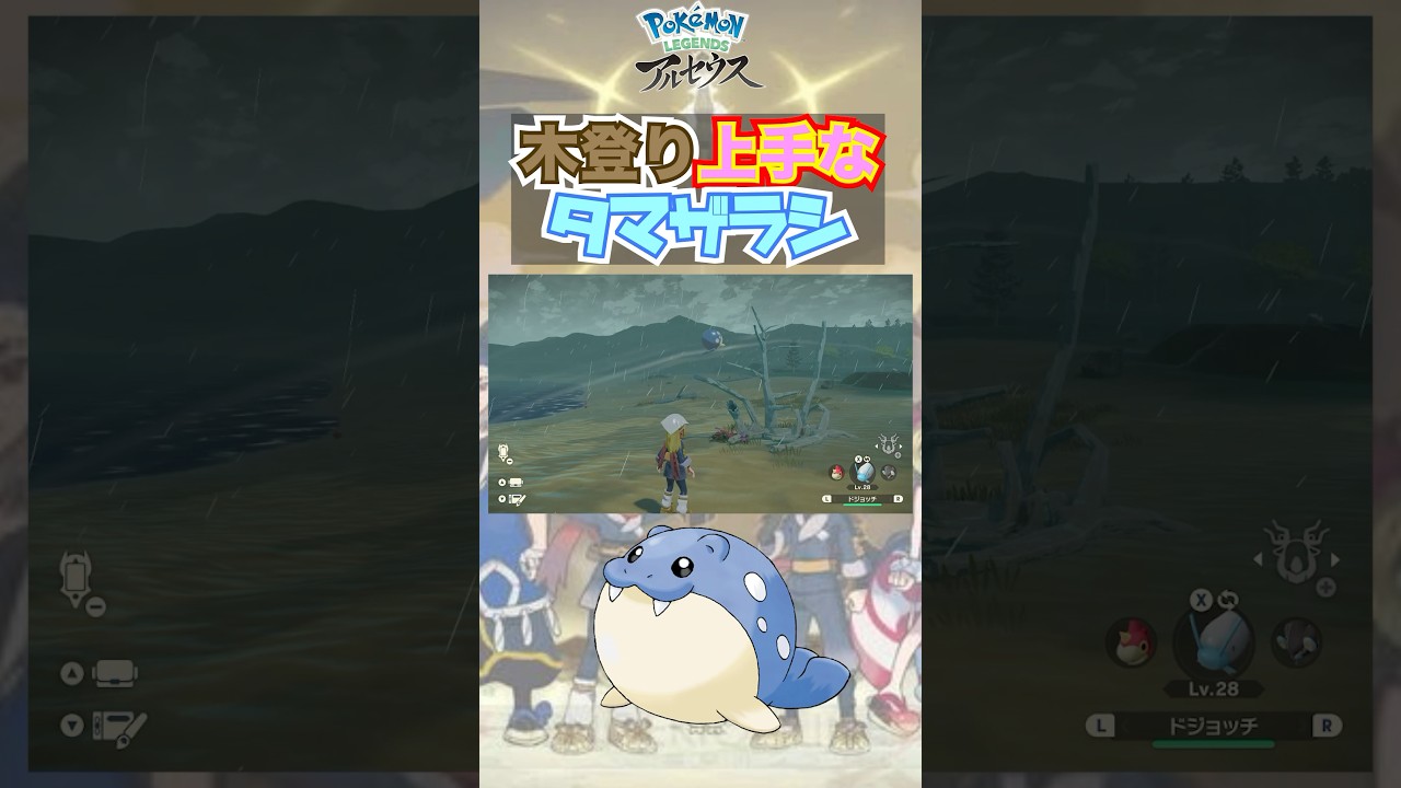 木登り上手なタマザラシさん