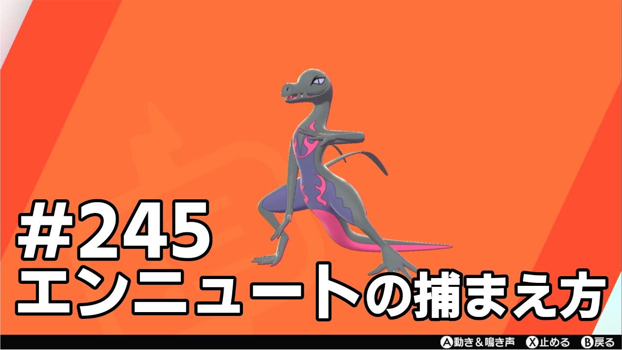 エンニュートを探している方に見てほしい動画