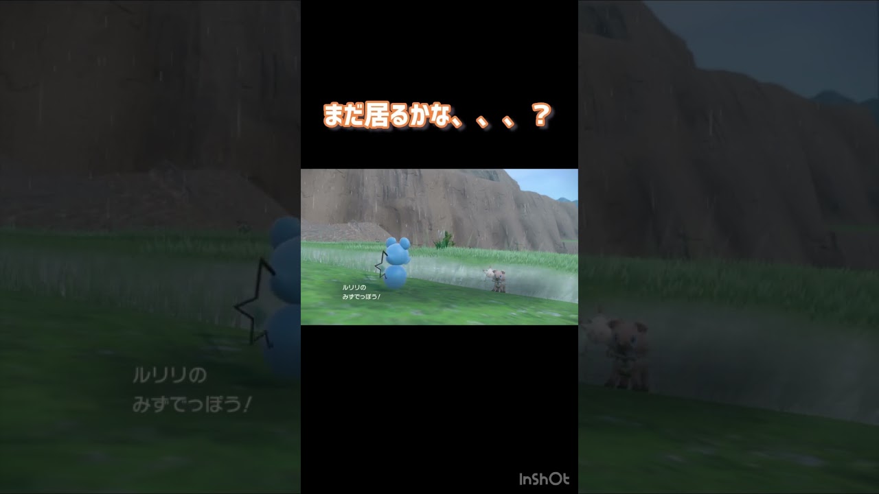 コダック可愛すぎるんだけど🥳💕 #ポケットモンスタースカーレットバイオレット #ポケモンsv #ポケモン #ほっこり #コダック #おすすめにのりたい #ポケモン好きと繋がりたい